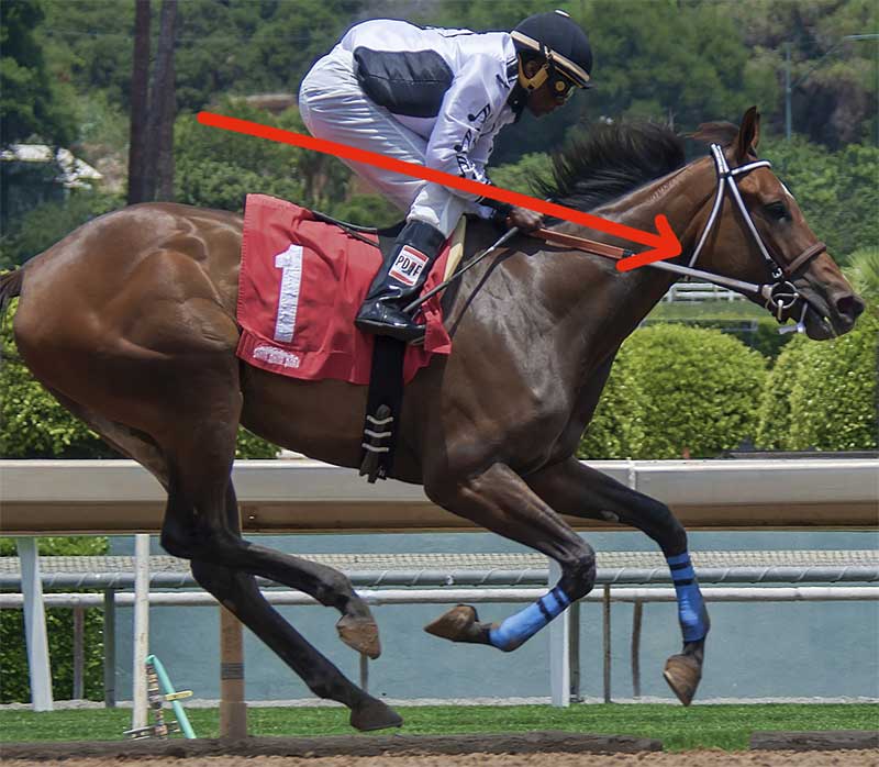 cheval sur les épaules