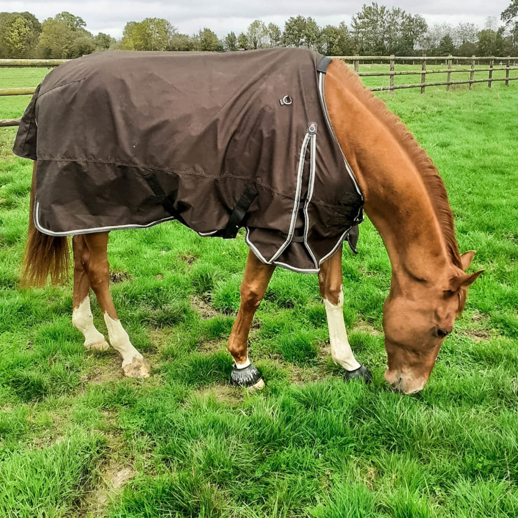 Choisir la couverture idéale pour ton cheval : Guide pratique